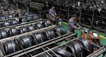 The Growing Influence of the Natural Rubber Industry in Global Markets