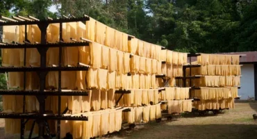 Why Thailand Leads the World in Natural Rubber Production 